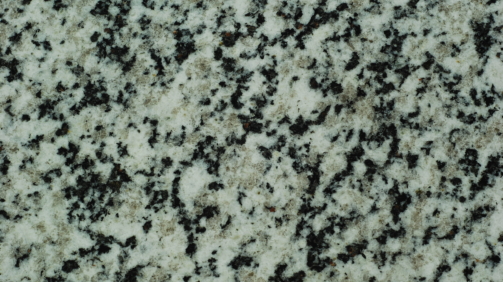 Bianco Dalmata